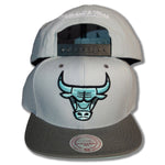 Mitchell & Ness Chicago Bulls Snapback NW09Z pastell