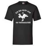 Men T-Shirt "Meinungsstabil"